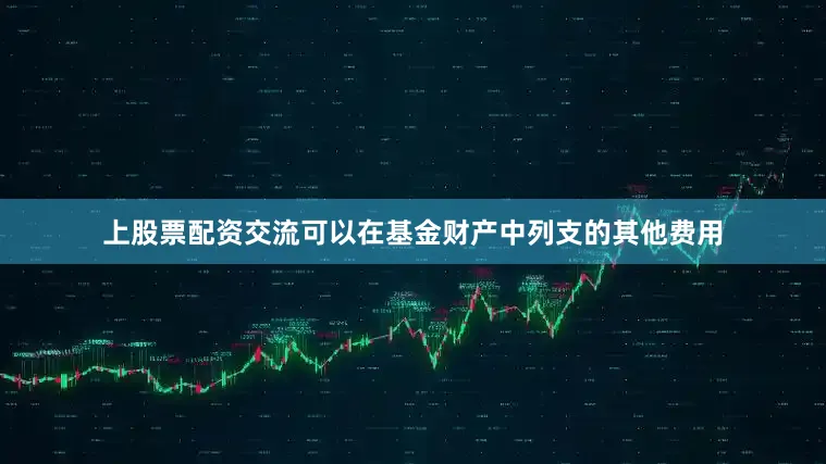 上股票配资交流可以在基金财产中列支的其他费用