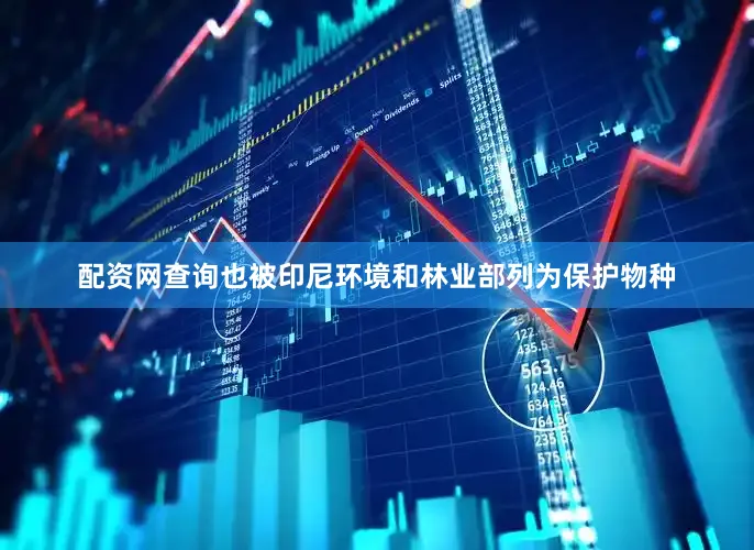 配资网查询也被印尼环境和林业部列为保护物种