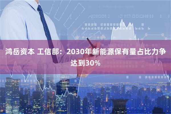 鸿岳资本 工信部：2030年新能源保有量占比力争达到30%