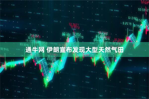 通牛网 伊朗宣布发现大型天然气田